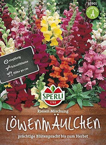 Sperli 85901 Löwenmaul Riesen Mischung (Löwenmaulsamen)
