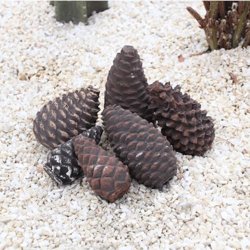 heyfurni künstliche Haselnuss kaminholz, 6 Stück Haselnuss Dekorationsholz, Verschiedene größen Gas Haselnuss Holz für Ethanol Kamin Indoor, Ethanol Kamin Indoor,(6pcs Pine Cones)