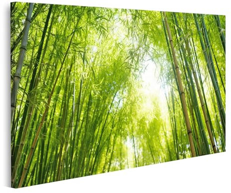 islandburner Tableau sur toile Forêt de bambou Feuilles au soleil Images murales Poster