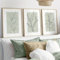 3er Set Premium Poster Set, Moderne Salbei Grüne Pflanzen Abstrakt Kunst Wandbilder, Boho Deko Bilder Für Wohnzimmer Schlafzimmer - Ohne Rahmen (50x70cm)