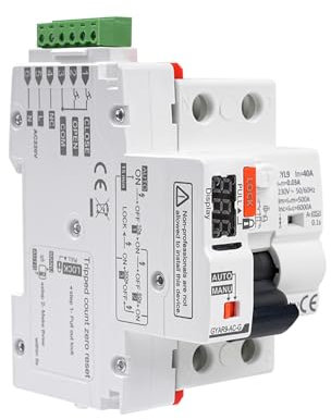40A Salvavita con riarmo automatico Interruttore differenziale a riarmo automatico Differenziale riarmo automatico RCCB tipo A con display 220V 2P riarmo automatico in modalità auto.