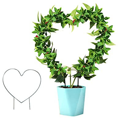 KHBNHJ 2 Stück Metall-Gartenspalier für Pflanzen, Klettern, dekorative Topfpflanzenstütze, kleine Stützspaliere für Blumen, Gemüse, Rose, Ranke, Erbse, Efeu, Herzform