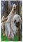 Violetpos Badetuch Lustiges Tier Faultier GrauLustiges Tier Faultier Grau 70 cm x 140 cm Strandtuch