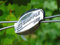 Todo Cultivo Tensor Alambre Gripple Plus Medium. Pack 25 Unidades. El más Utilizado espaldera. Original