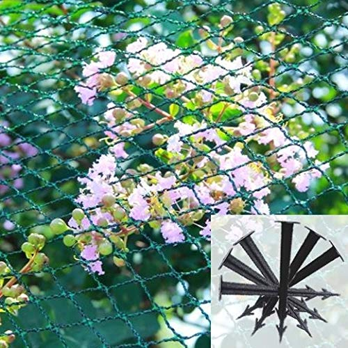 rg-vertrieb Teichnetz mit 6 Erdnägeln Erdankern Vogelschutznetz ca. 20g/m² Laubnetz Gartennetz Maschenweite 25mm x 25mm Pflanzenschutznetz (3m x 6m)