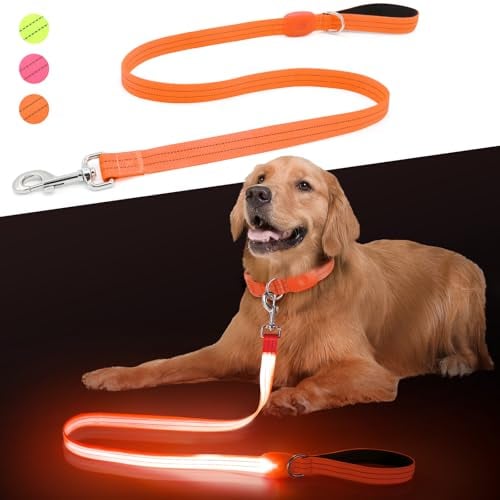 ChalkLit LED Hundeleine, Beleuchtete Hundeleine über USB Wiederaufladbar, 1,2 m, Weich Wasserdicht Reflektierend, für nächtliche Spaziergänge für große, mittelgroße Haustiere blinkende