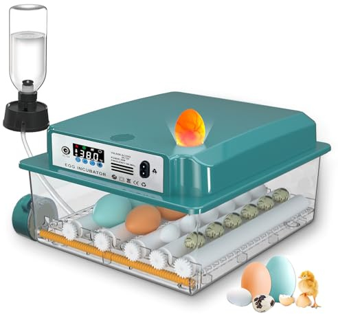 CoInceptus Incubadora Huevos Gallina, Incubadora de 12-16 Huevos con Volteo Automático de Huevos y Adición Automática de Agua, Incubadoras para Huevos de Gallina, Codorniz, Pato