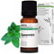 Aroma Labs - Hierbabuena - Aceite Esencial Orgánico - Quimiotipado y Certificado AB - 10 mL