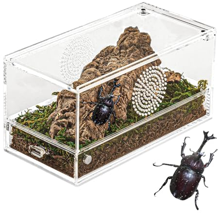 Acryl Reptilien Terrarium Box, Magnetknopf Transparent Insekten Terrarium,Mikro Habitat Schnecken Terrarium for Kleine Reptilien,Spinnen, Schnecken, 20x10x10 cm