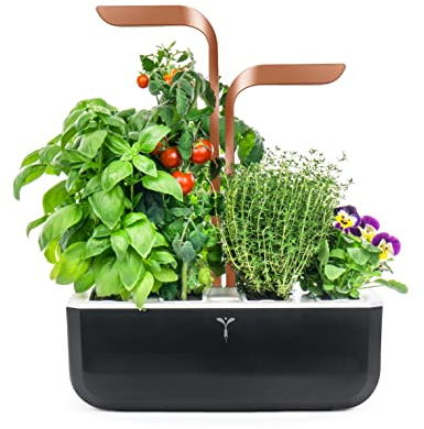 Véritable® Smart (Copper Version) - Potager d’Intérieur Fabriqué en France – Jardin Autonome Intelligent avec sa Technologie Adapt’ Light - Livré avec 4 Lingots®