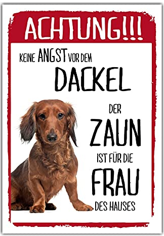 Dackel Dog Schild Achtung Zaun Frau Spruch Teckel Türschild Hundeschild Warnschild Geschenkidee lustiger Spruch Hundemotiv Aluminium Wetterfestes Hundeschild