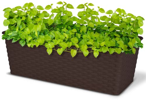 ASAB Rattan Planter Pot Modern Rectangular Resistant Indoor Outdoor Durable Plastic Home Decor (Dark Brown)