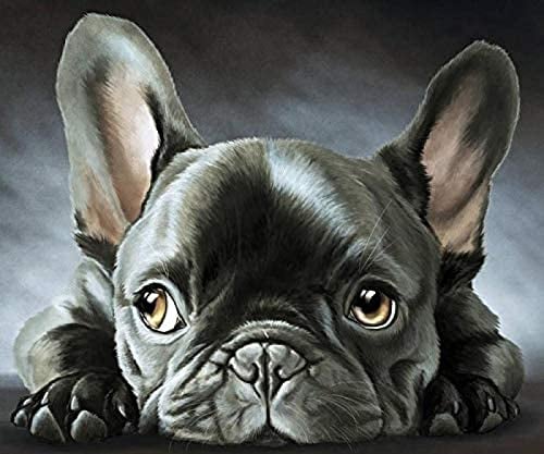 WYWQN 5D Diy Diamond Painting Kit Schwarze Französische Bulldogge Diamond Painting Arts Craft für Home Wall Decor Full Kit (Square Diamond Painting 50x60CM
