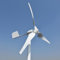 3000W Windkraftanlage 24V 48V 96V Permanentmagnet Generator Windturbine Windgenerator für Home Windmühle Windräder (24V)