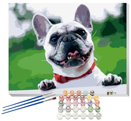 Senmate Kit de Pintura por Números Personalizada para Adultos, Mascotas y Regalos - 48/64 Colores HD, Lienzo Antiarrugas, Decoración Moderna