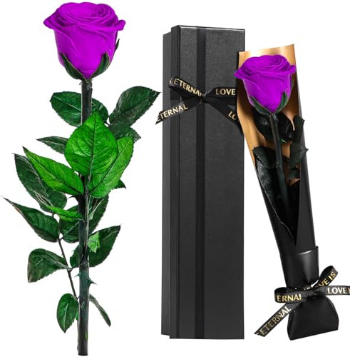 Touloube Rosa Stabilizzate Vera Eterna Viola Fiori Regalo Donna Compleanno Natale Anniversario Per Lei, Regali Mamma Fidanzata Moglie Sorella, Ti Amoregali, Festa Della Mamma, San Valentino