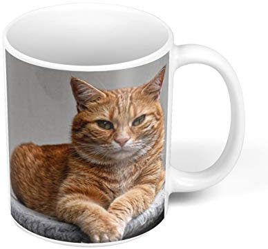 Fabulous Mug Céramique Superbe/Chat Roux A Poil Long/Relax/Chill/Mignon