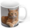 Fabulous Mug Céramique Superbe/Chat Roux A Poil Long/Relax/Chill/Mignon