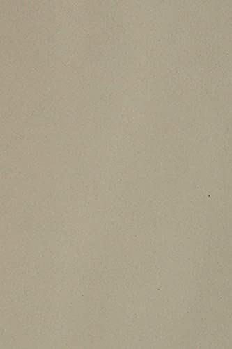 Netuno 10 x Tonkarton DIN A3 297x 420 mm Grau 250g Burano Pietra Bastelkarton einfarbig Fotokarton A3 bunt durchgefärbt Feinpapier DIY Bogen Kreativ-Karton farbig buntes Tonpapier