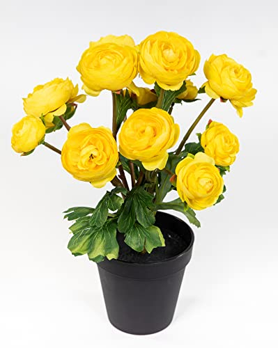 Seidenblumen Roß Ranunkelbusch Natural 32cm gelb im Topf DP Kunstpflanzen Kunstblumen künstliche Ranunkel Blumen