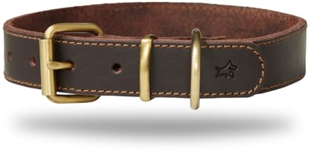 DIAVOLI - Hunde Lederhalsband Luna - Strapazierfähiges Hundehalsband mit Verstellbarer Messing Schnalle - Fettleder Halsband Robust - Größe M