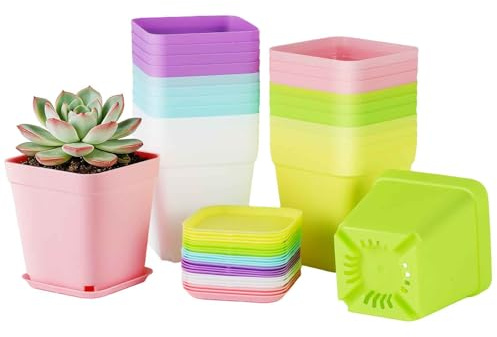 PUHTUOY 24Pcs Plastic Plant Pots - 7cm Indoor Square Thick Seed Seedling Pots with Trays Small Coloured Nursery Flower Pots for Vegetables Cuttings Succulent Cacti for Garden Office and Balcony Decor