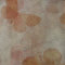 Russo Tessuti Telo Tenda Pannello ZANZARIERA Fantasia Farfalle Retina Moschiera 150 x 250 cm-Arancione