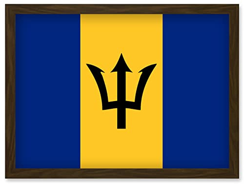 Artery8 Barbados National Flag Patriotic Vexillology World Flags Country Region Poster Artwork Framed Wall Art Print A4