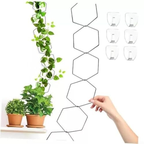18 Stück Kettenspalier für Kletterpflanzen, für drinnen und draußen, sechseckige Pflanzenstütze, DIY Rankenkette, Spalier für Pothos, Efeu, Glyzinie, Monstera