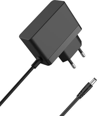 RH20 Chargeur Compatible avec Rowenta X-Force Flex 9.60 Aspirateur Balai sans Fil - RH2037WO / RH2038WO / RH2078WO Remplacement Adaptateur Secteur Alimentation Cable - SS-7222068916