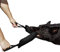Dingo Gear Baumwolle-Nylon Beißwurst für Hundetraining IGP IPO Obiedence Schutzhund Hundesport,45 x 8 cm, 2 Griffen Schwarz S00076