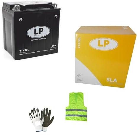 Compatible avec Arctic Cat XT Prowler 4x4 1000 ANNÉE 2010 AL 2010 Batterie YTX30L-BS SLA YIX30L-BS EXPÉDIÉE CHARGEE ET PRÊTE Batteries AGM 30 AH 12V 166X126X173MM CCA 385A