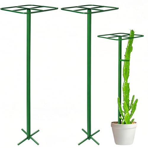 Zealor Paquete de 2 enrejados de fruta del dragón, 12 x 12 x 50 pulgadas, enrejado ajustable de fruta del dragón, marco de soporte de metal para plantas trepadoras, torre de cactus, jaula de plantas