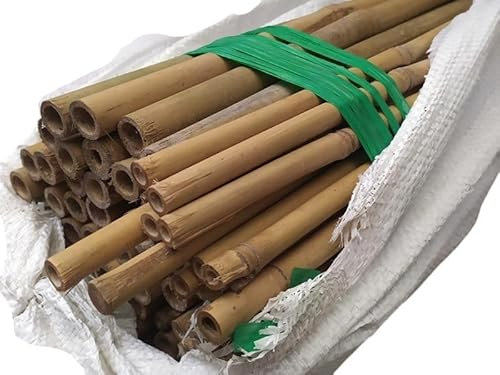 20 Tutores 150 cm de caña Bambú para sostener Plantas huerto jardín. El Tutor de bambú brindan Soporte Estructural a Plantas con Crecimiento Saludable, Son ecológicos y añaden un Toque Natural