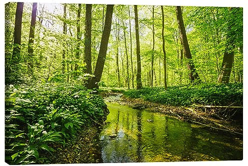Posterlounge Frischer grüner Wald Leinwandbild von Oliver Henze 100 x 70 cm Grün Wandbilder Wanddeko