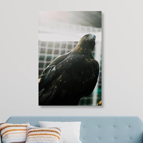 Eintracht Frankfurt Fanartikel Wandbild (60cm x 40cm) auf Aluminium oder Acrylglas I Exklusive Motive (Acryl: Adler Attila Fotografie, 60cm x 40cm (Acryl))
