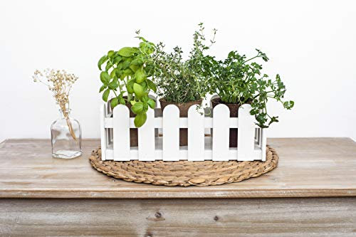 Uncle Ralph Jardinera de Madera. Kit de Cultivo huerto Interior de Hierbas aromáticas. Macetero 30 cm Tipo Valla jardín Plantas y Flores (Blanco)