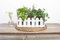 Uncle Ralph Jardinera de Madera. Kit de Cultivo huerto Interior de Hierbas aromáticas. Macetero 30 cm Tipo Valla jardín Plantas y Flores (Blanco)