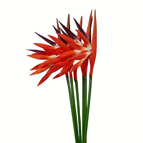 Rikyo Strelitzia - 6 fiori artificiali, motivo uccello del paradiso, 58,4 cm, fiori permanenti, piante tropicali, per ufficio, casa, feste, disposizione, piante in vaso (arancione)