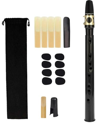 Mini Pocket Saxophone Set, Portable Small Saxophone with Mouthpiece, Reeds, Carry Bag for Instrument Players Kids Beginners Amateurs