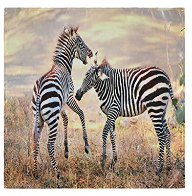 AUUXVA BIGJOKE Cloth Napkins Wild African Zebras Print Set of 4, Washable and Reusable Dinner Napkins Soft Table Napkins for Restaurant Party Kitchen Family Dinner 20 x 20 in