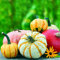 Haloppe 100 Unids Pequeñas Semillas De Calabaza Para La Plantación De Jardín En El Hogar, Semillas De Calabaza Ornamentales Naturales Pequeñas Semillas De Vegetales De Calabaza Para El Jardín Se