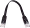 cablecc Câble réseau Cat 6 RJ45 UTP ultra fin plat Ethernet à paire torsadée pour ordinateur portable routeur 30 cm