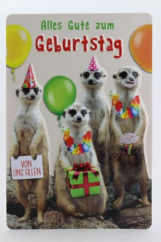 lustige Geburtstagskarte mit Umschlag, B6 Format, Glückwunschkarte für besondere Anlässe - Klappkarte Geburtstagsgrüße Grußkarte 3D Design (Erdmännchen)