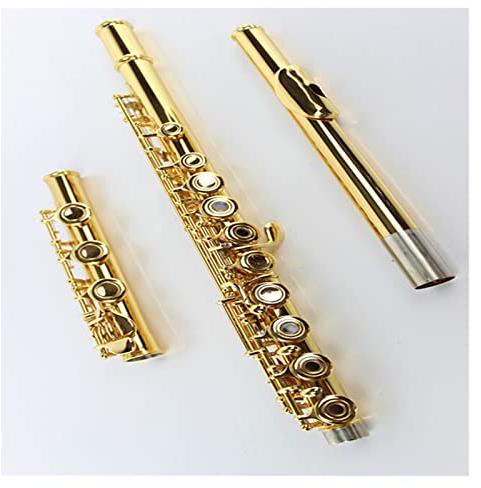 TSTS Blasinstrument Vergoldete 17-Loch-C-Melodie-Flöte Mit Offenem Loch, Weißes Kupfer, Goldene Klappe, B-Schwanz, E-Klappe, Goldene Flöte Einsteiger Querflöten