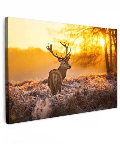 MuchoWow© Impression sur Toile Decoration Murale Peinture 120x80 cm Tableaux Decoratifs Muraux Déco Chambre Tableau Salon Cerf - Animaux - Coucher de soleil - Hiver - Bruyère - Nature