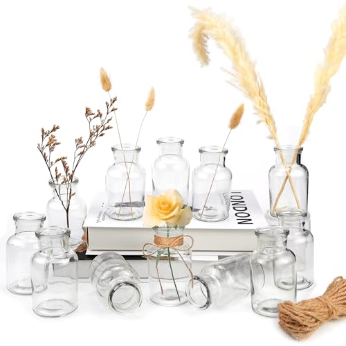 CHRI 12 STK Kleine Vasen für Tischdeko, Mini Glasvase für Hochzeit, Zuhause, Geburtstage, Feste