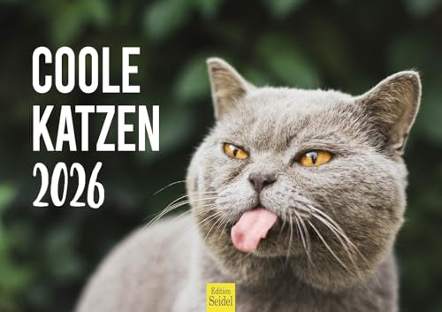 Edition Seidel Premium Kalender Coole Katzen 2026 Format DIN A3 Wandkalender Katzenkalender mit Sprüchen Tiere Katzen Kitten Katzenkinder Haustiere