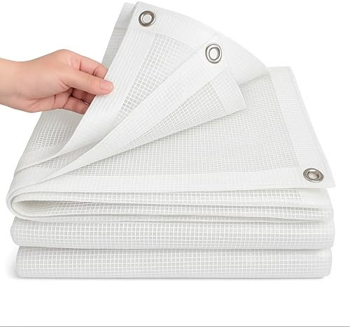 ESTO Telo Impermeabile Trasparente Retinato 150g/mq, Telone Occhiellato 150g/mq, Protettivo Multiuso per Auto, Barche, Piscina, Giardino (4x6 Metri)