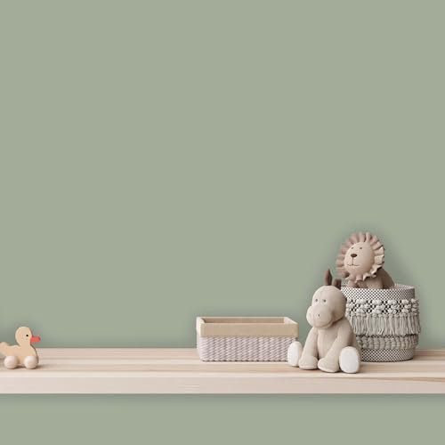 K&L Wall Art Pintura de pared mate para interiores, color verde, protección de pared moderna, 5 litros